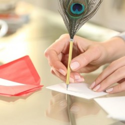 PATIKIL Kugelschreiber mit Pfauenfedern, Großpackung, Metallhalter, schwarze Tinte, Vintage-Schreibfeder mit 5 Nachfüllungen fürs Büro, Hochzeitsunterschrift, antike Dose