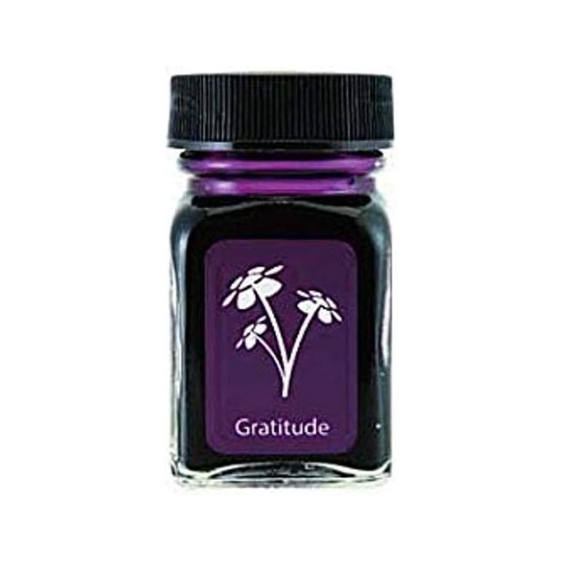 MONTEVERDE-Flaschentinte, 30 ml, Gratitude Magenta (G309GM)