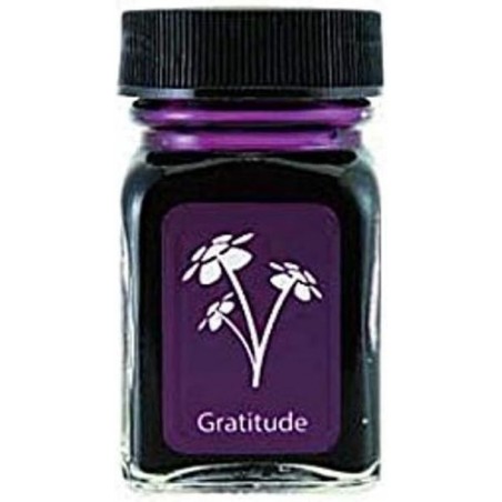 MONTEVERDE-Flaschentinte, 30 ml, Gratitude Magenta (G309GM)