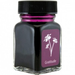 MONTEVERDE-Flaschentinte, 30 ml, Gratitude Magenta (G309GM)