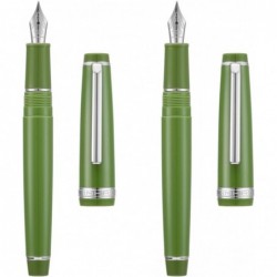 2 Stück Jinhao 82 Harz-Füllfederhalter Iridium extrafeine und feine Feder mit Konverter, grün mit silbernem Clip, Schreibstift-Set