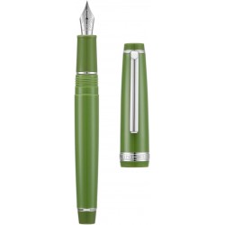 2 Stück Jinhao 82 Harz-Füllfederhalter Iridium extrafeine und feine Feder mit Konverter, grün mit silbernem Clip, Schreibstift-Set