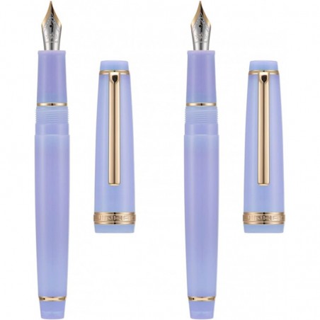 2er-Set Jinhao 82 Füllfederhalter aus Kunstharz mit extra feiner und feiner Iridiumfeder mit Konverter, transparentes Lila mit goldenem Clip, Schreibstift-Set